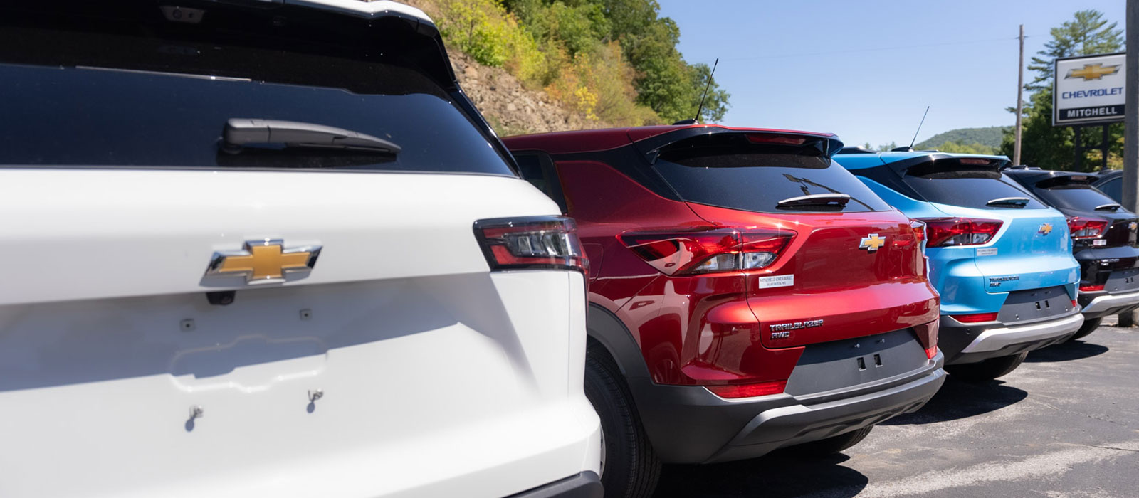 back of cars at a dealership