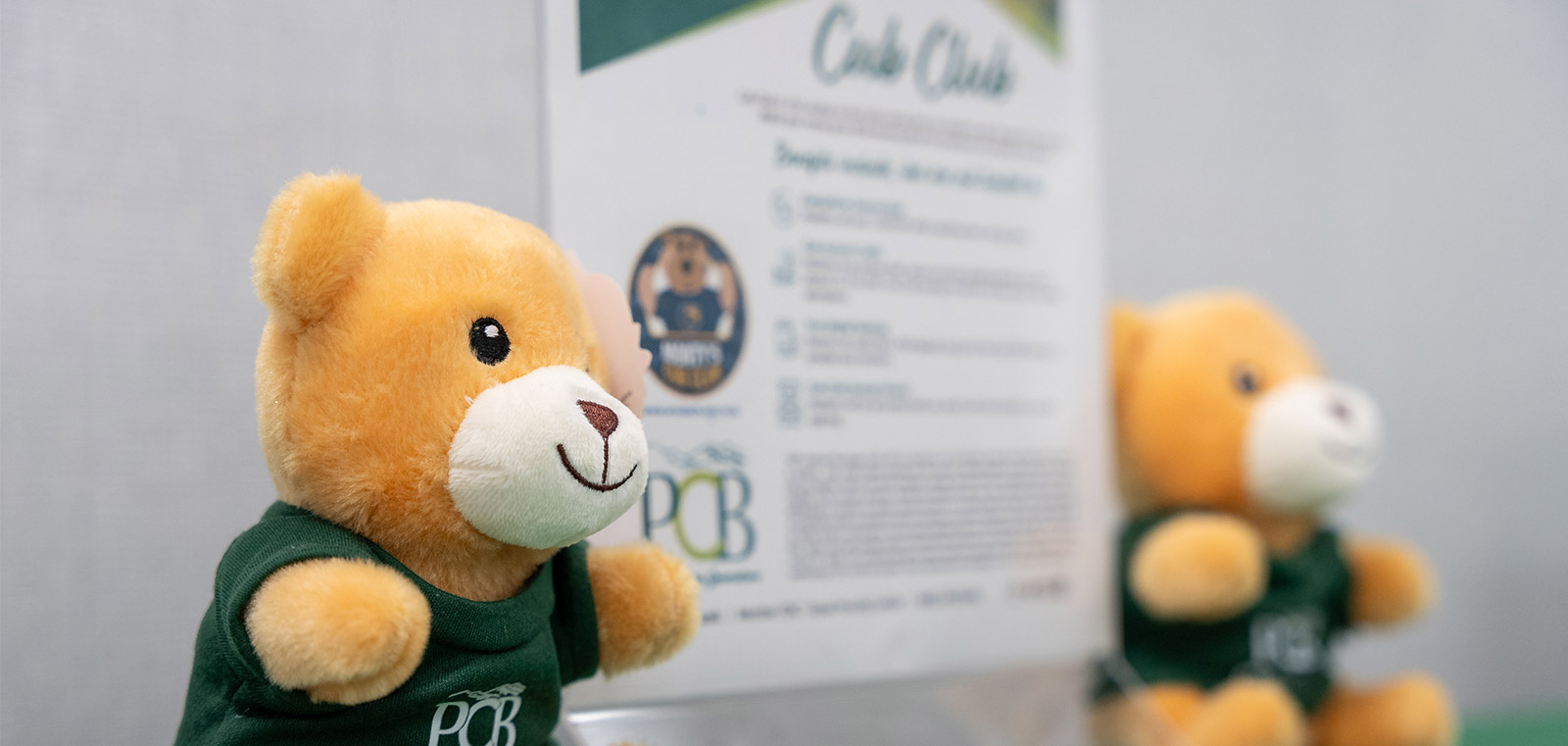 Cub Club Flyer and small teddy bears