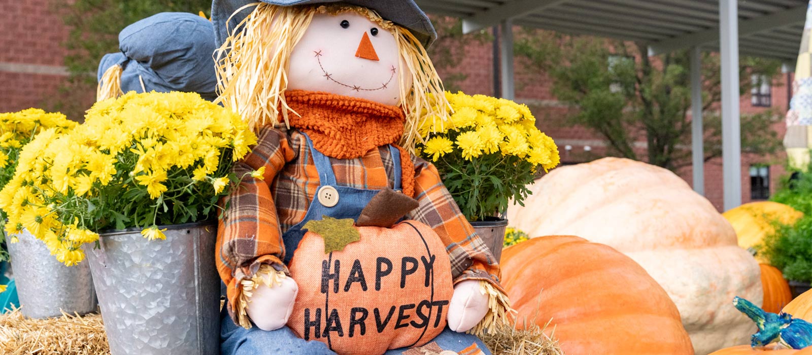 Fall decoration with pumpkin that says Happy Harvest