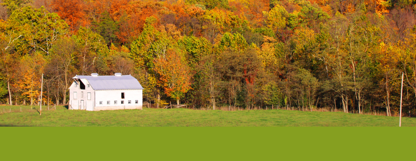 a farmhouse in a wooded area among fall colored trees