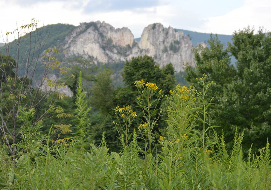 Mountain scenery