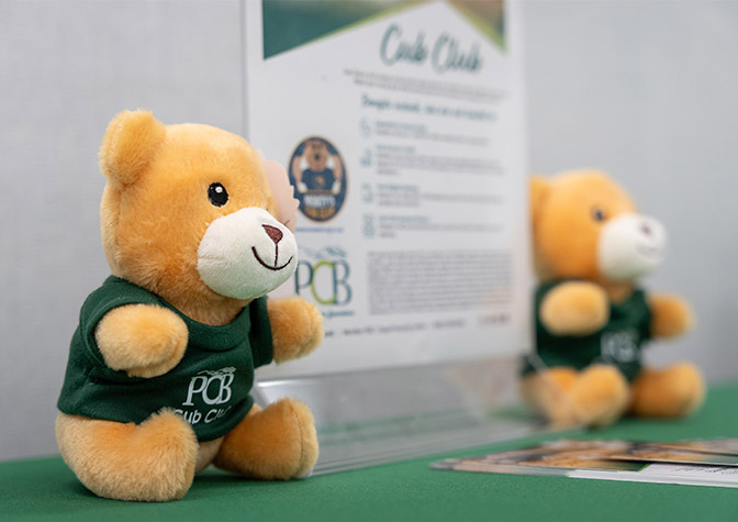 Cub Club Flyer and small teddy bears